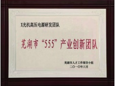 蕪湖市“555”產業創新團隊